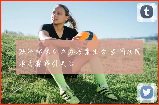 欧洲杯联合举办方案出台 多国协同承办赛事引关注